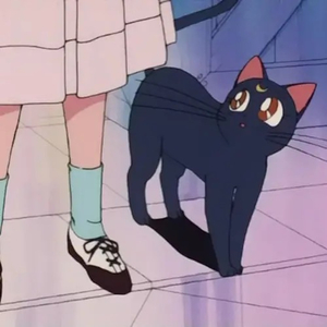 沙滩12人群体交视频
